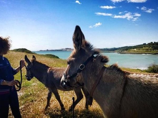 Villaggio Cala Molinella - foto 25799.jpg