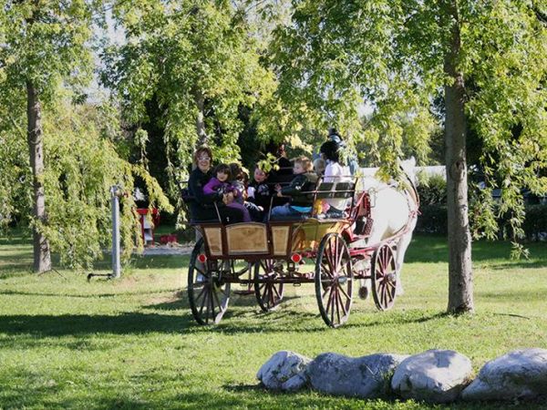 Gelindo dei Magredi Country resort - foto 26006.jpg