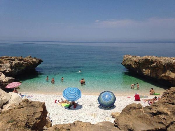 Fattoria Spezia - foto 26024.jpg