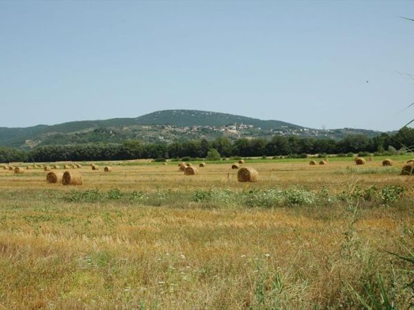 Vecchio Granaio - foto 26173.jpg