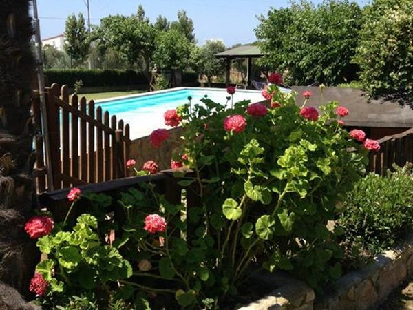 Fattoria Poggio Nebbia - foto 26512.jpg