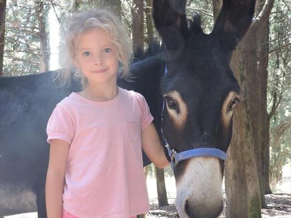 Agriturismo il Giardino - foto 26565.jpg