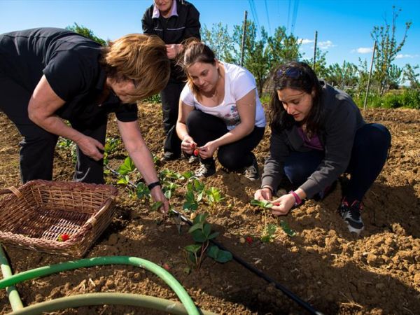 Fattoria Poggio Nebbia - foto 26595.jpg