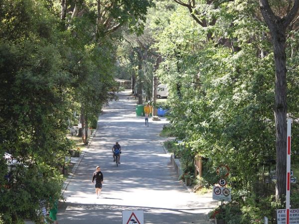 Camping mare e pineta  - foto 26668.jpg