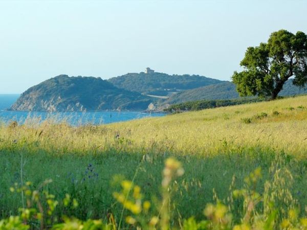 Poggio allAgnello - foto 26693.jpg