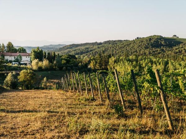 Tenuta Tizzauli - foto 26797.jpg