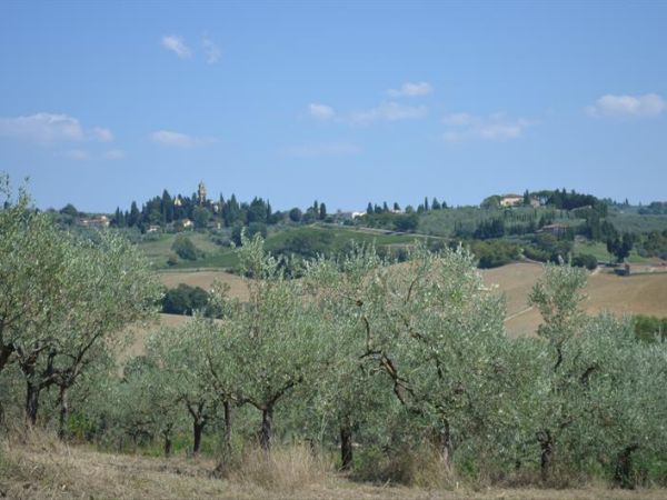 Tenuta Tizzauli - foto 26799.jpg