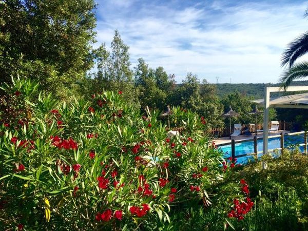 Agriturismo Serraiola Alta - foto 26925.jpg