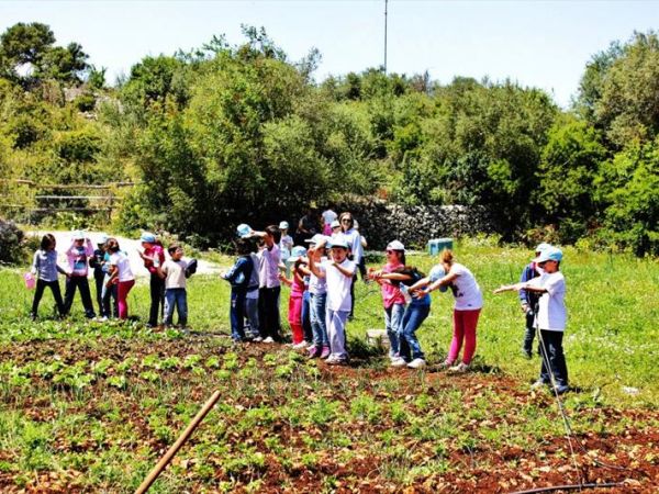 Agriturismo Agrimilo - foto 27473.jpg