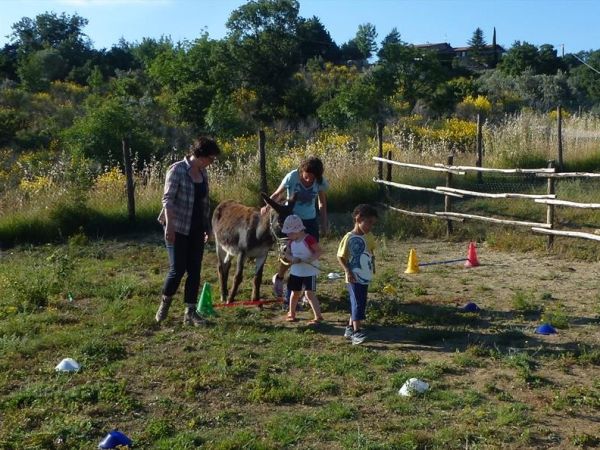 Il Canto dellAsino - foto 27597.jpg