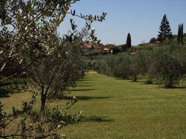 Agriturismo Nonna Bettina - foto 27708.jpg