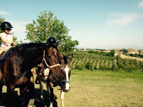 Il Torrino Azienda Agricola - foto 27749.jpg