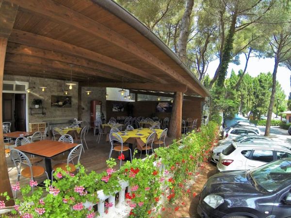 Camping Il Capannino - foto 27765.jpg