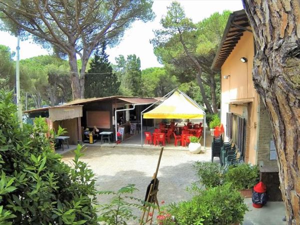 Camping Il Capannino - foto 27769.jpg
