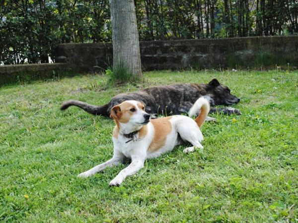 Tenuta Serpepe - foto 28082.jpg