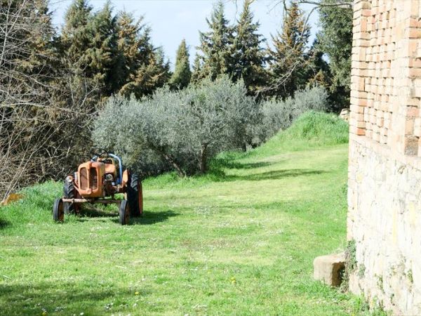 Borgo Poneta - foto 28307.jpg