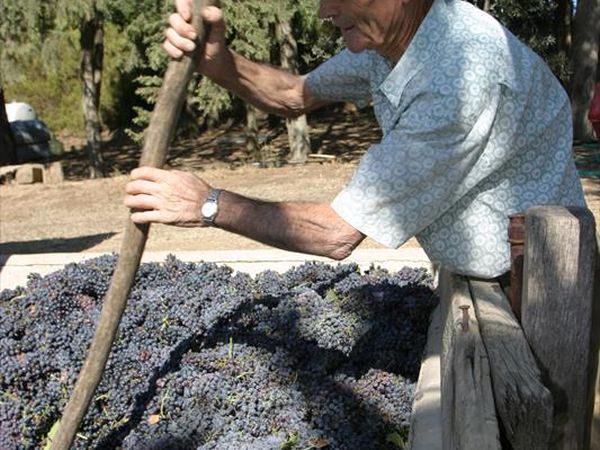 Borgo Poneta - foto 28311.jpg