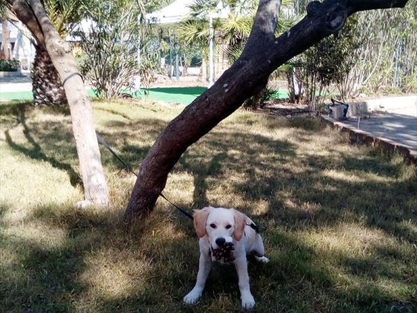 Campeggio Principina - foto 28361.jpg