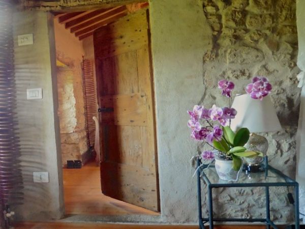 Agriturismo i Pitti - foto 28552.jpg