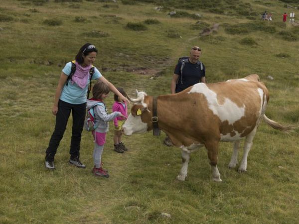 Hotel Genzianella - foto 28698.jpg