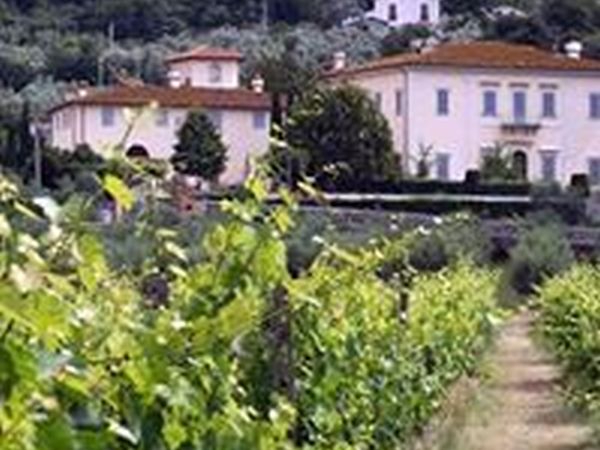 Agriturismo di Sommaia - foto 28747.jpg