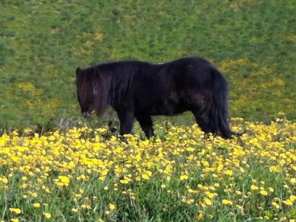 La Fattoria di Valentina - foto 28886.jpg
