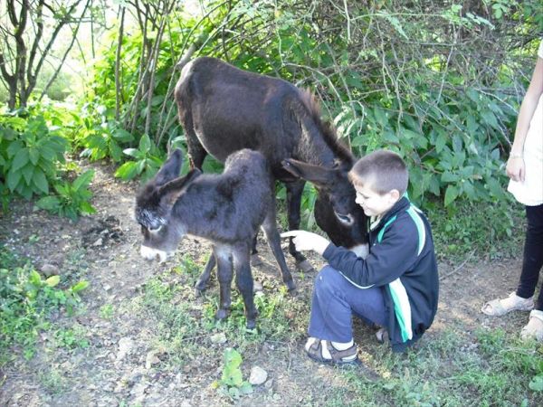 Agriturismo Cascina Santa Brera - foto 28940.jpg