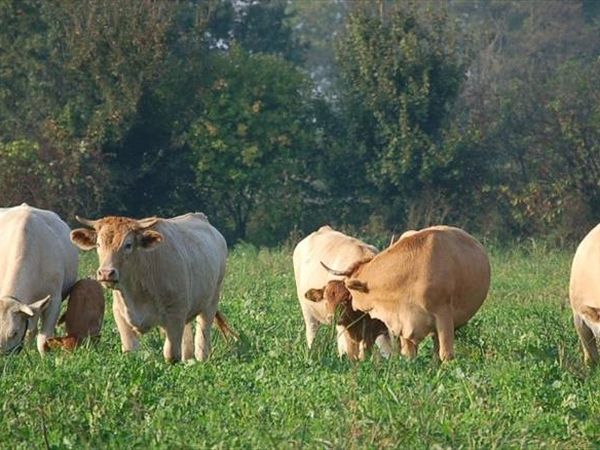 Agriturismo Cascina Santa Brera - foto 28942.jpg