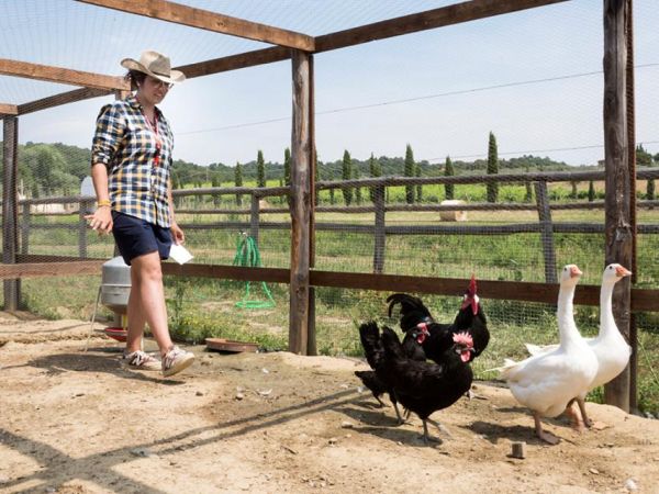 Fattoria Villa Palagina - foto 28963.jpg