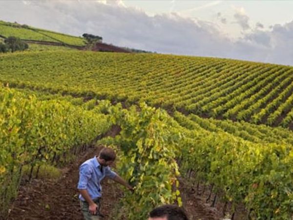 Agriturismo Monte due Torri - foto 29119.jpg