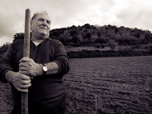 Agriturismo Monte due Torri - foto 29122.jpg