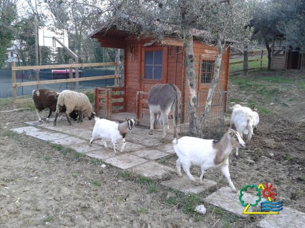 Garden Village San Marino - foto 29273.jpg