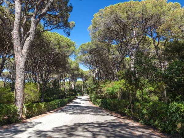 Le Marze - foto 29339.jpg