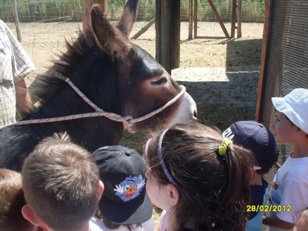 Agriturismo Palazzo Vecchio - foto 29459.jpg