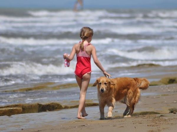 Villa Toscana  - foto 29523.jpg