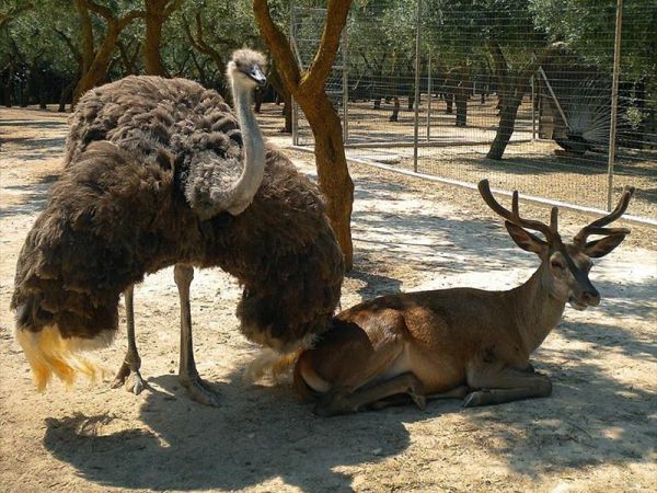 Agriturismo la Fattoria - foto 29729.jpg