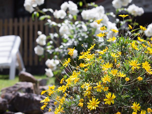 Agriturismo Serraiola Alta - foto 29746.jpg