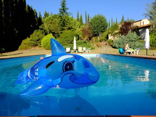 Agriturismo Girasole dei F.lli Fulignati S.S. - foto 30565.jpg