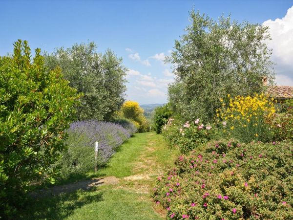 Podere il Pino - foto 30598.jpg