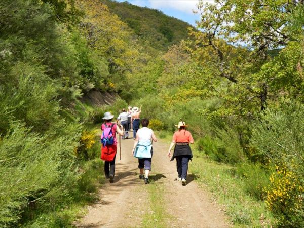 Villaggio Mare Verde - foto 30713.jpg