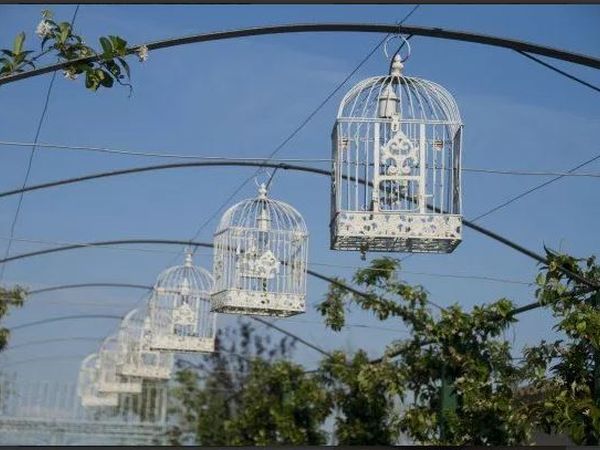 Tenuta San Marcello  - foto 30849.jpg