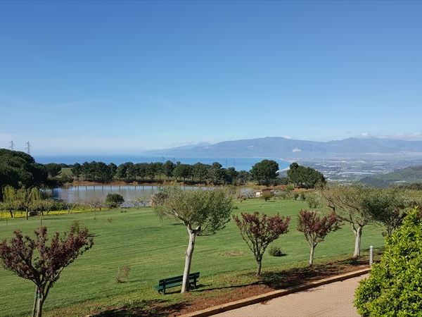 Popilia Resort - foto 31492.jpg