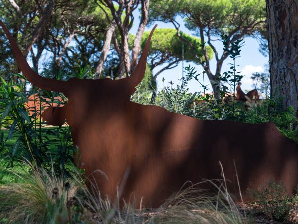 Cieloverde Camping Village - foto 31687.jpg