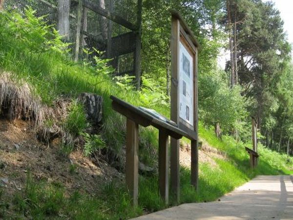 B&B Castello - foto 31728.jpg