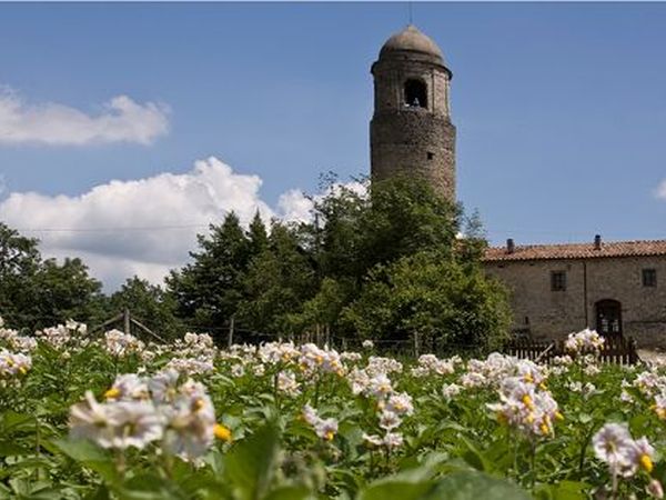 Agriturismo Montagna Verde - foto 31777.jpg