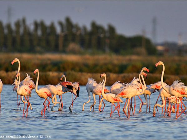 Hotel lApprodo - foto 31789.jpg