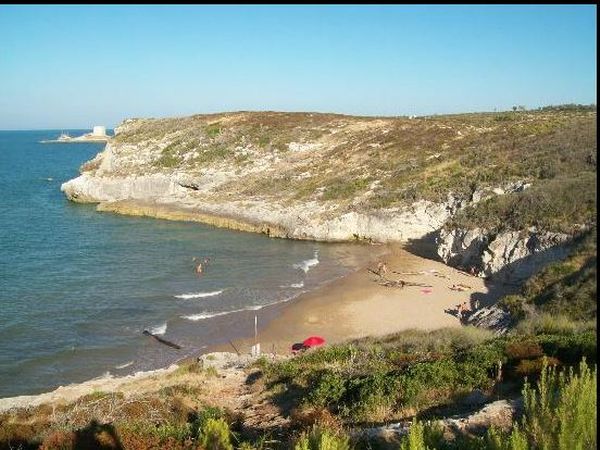 Pizzicato Case Vacanze  - foto 31868.jpg