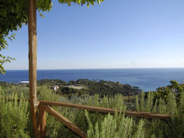 Natta di Monte Tabor  - foto 31897.jpg