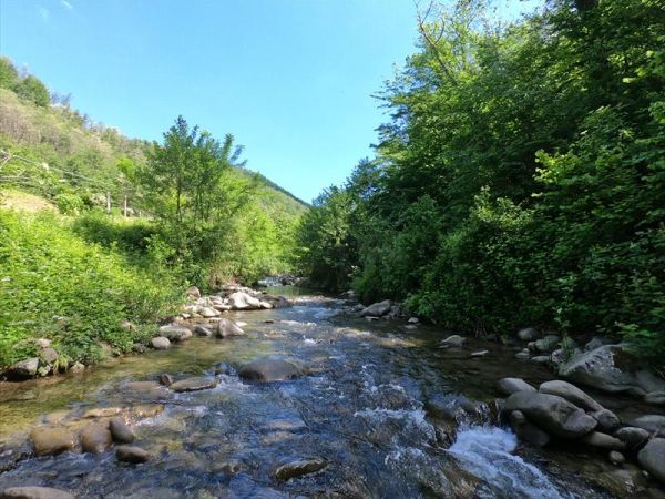 Agriturismo La Valle dei Castagni - foto 32214.jpg