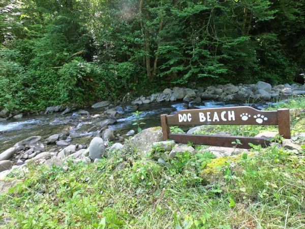 La Valle dei Castagni - foto 32245.jpg